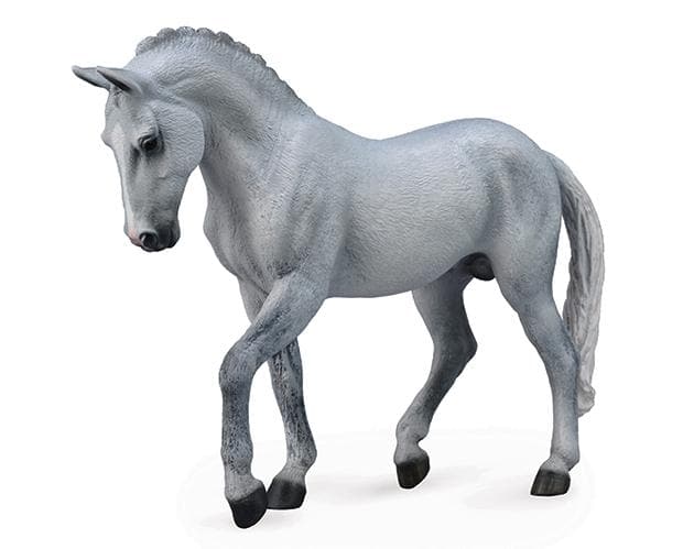 Trakehner Stallion | Grey - Image 2
