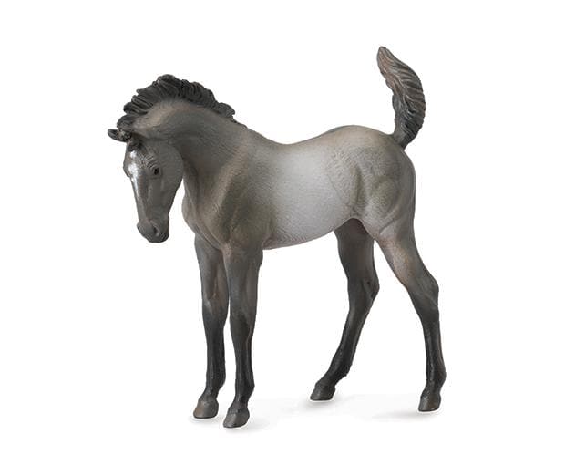 Mustang Foal | Grulla
