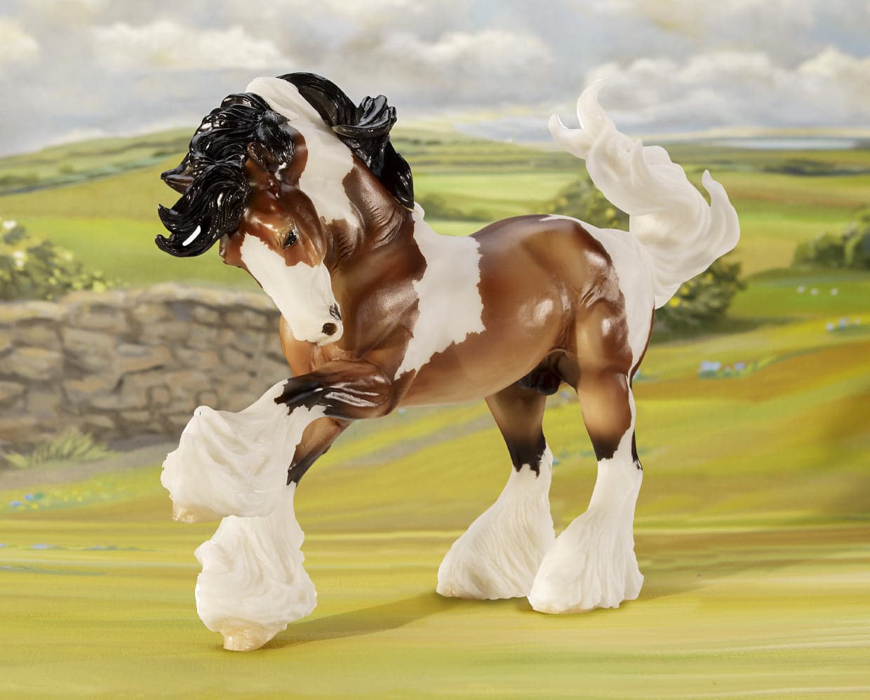 Gypsy Vanner - Image 3
