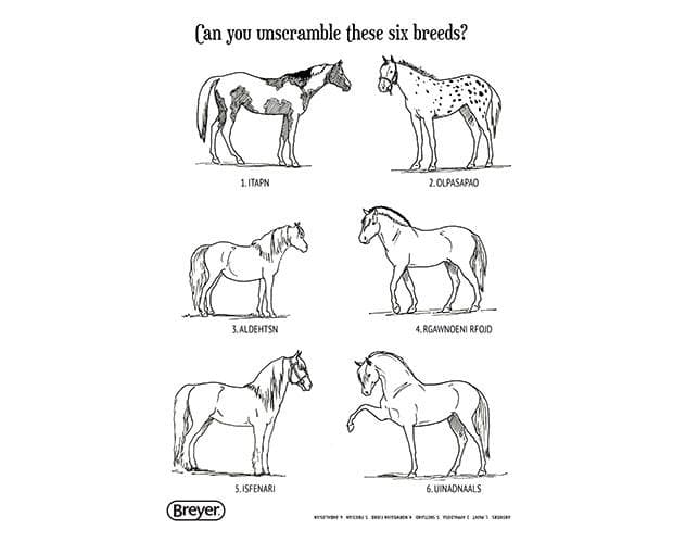 "H" is for Horse | Coloring & Activity Book - Image 4