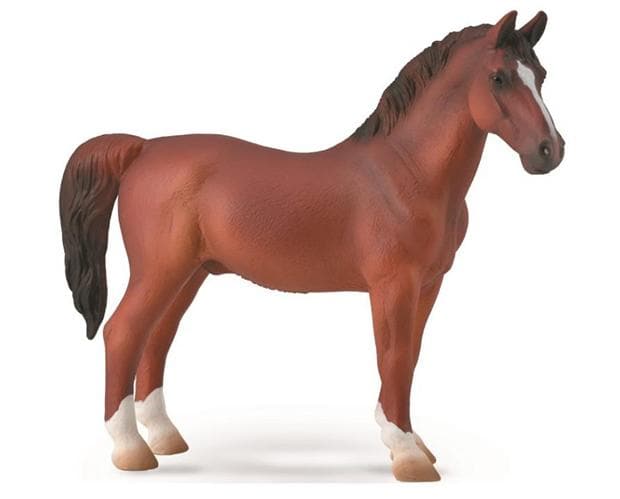 Hackney Stallion | Chestnut