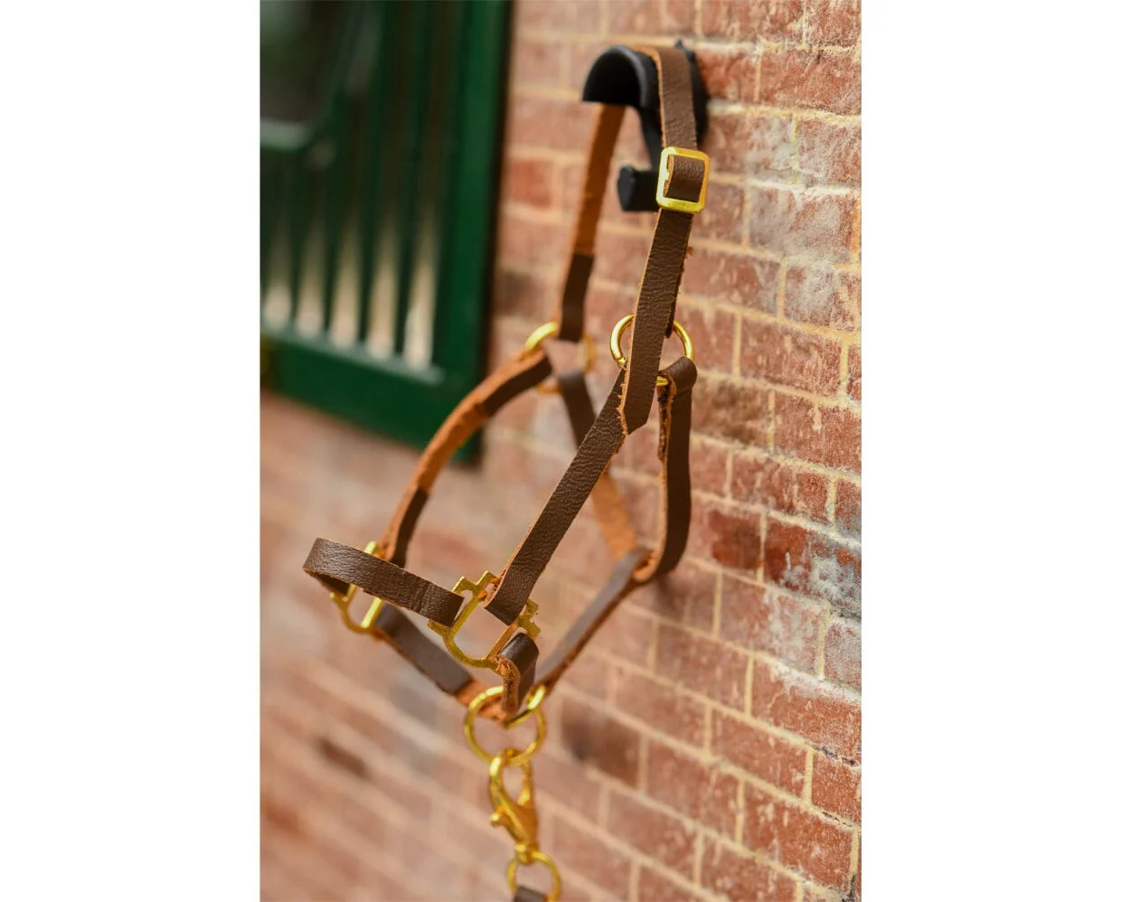 Halter with Lead - Image 2