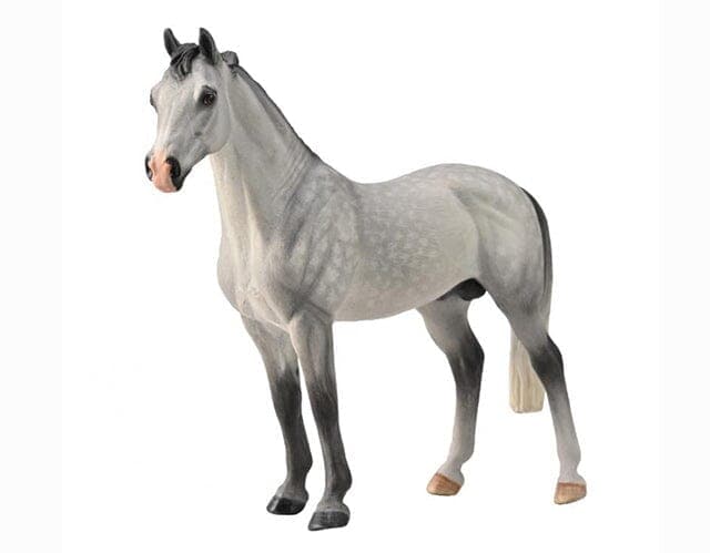Hanoverian Stallion | Grey - Image 2