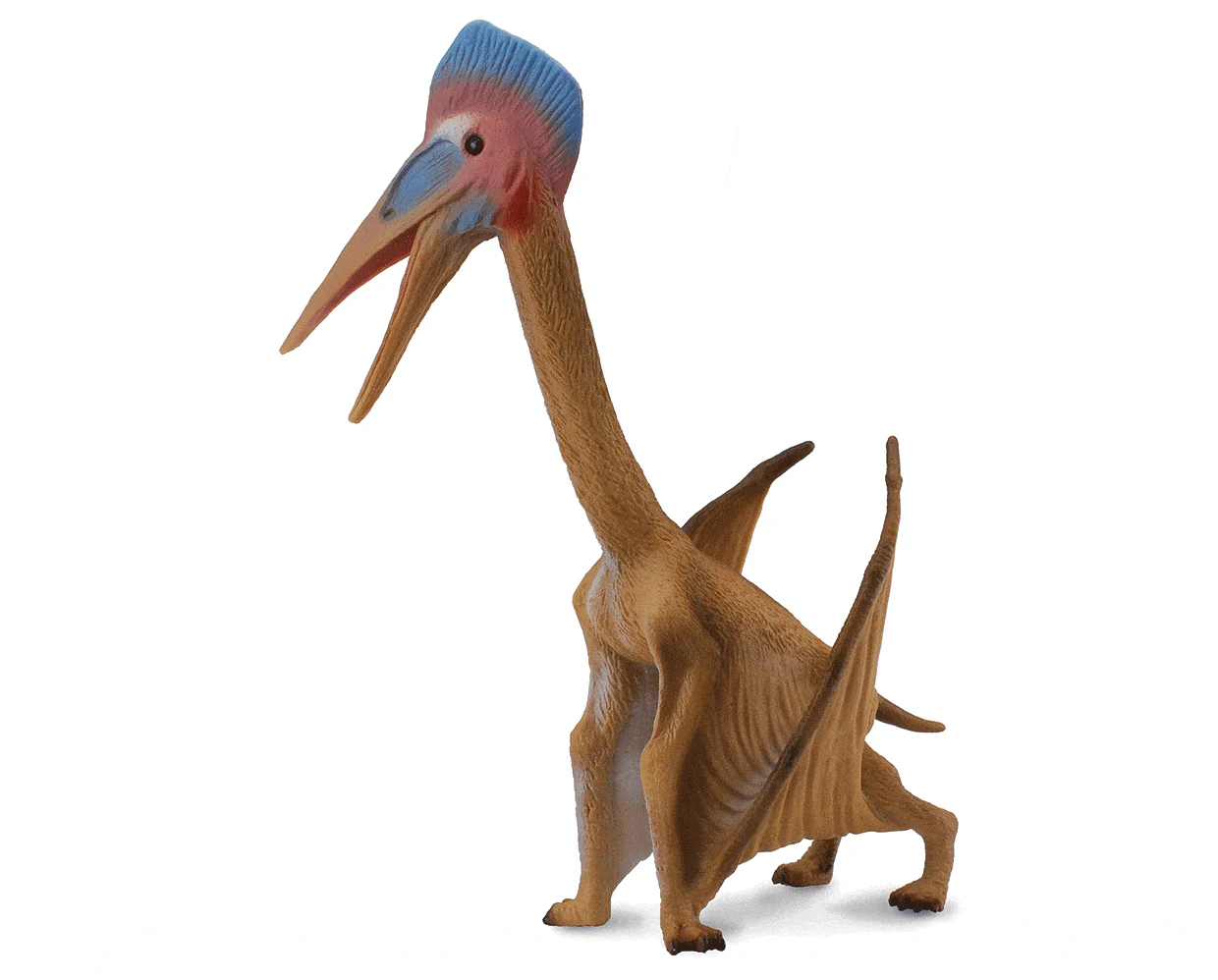 Hatzegopteryx