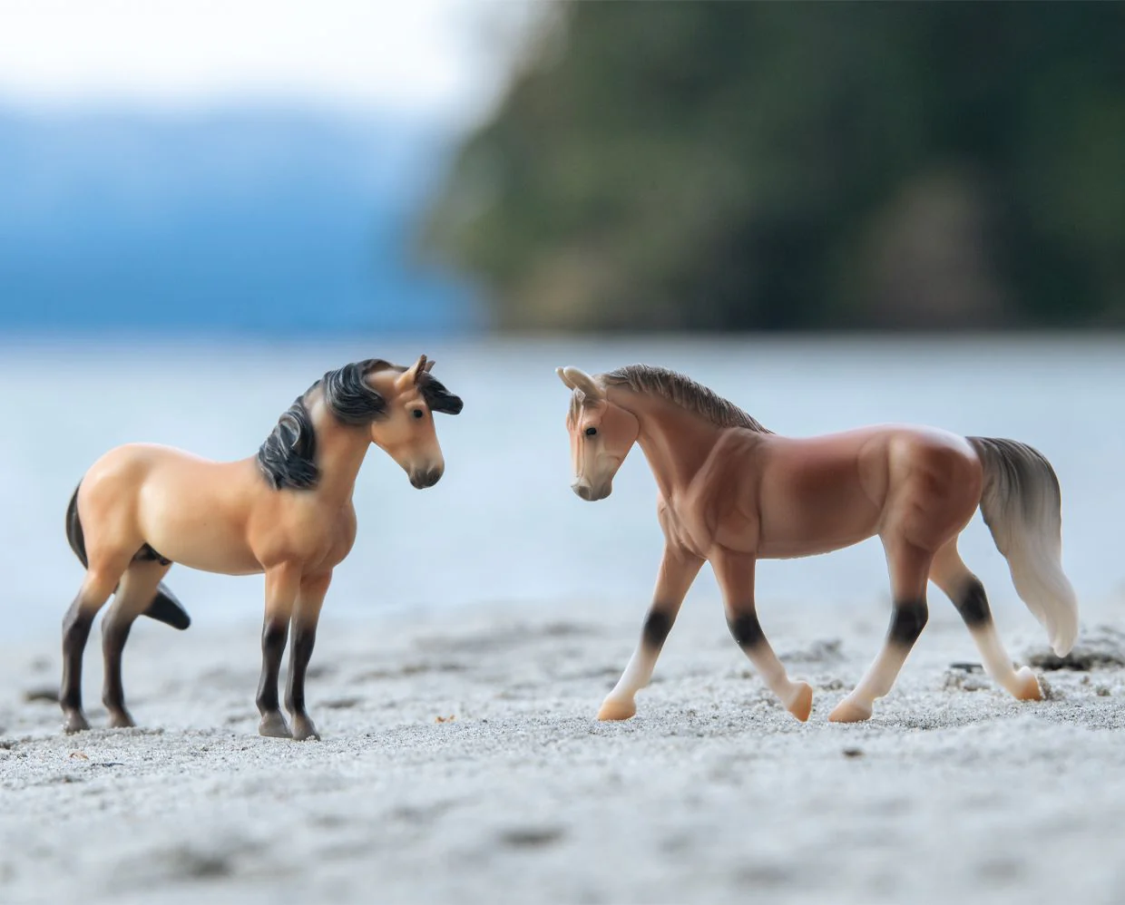Horse Foal Surprise | Shimmering Sands - Image 2
