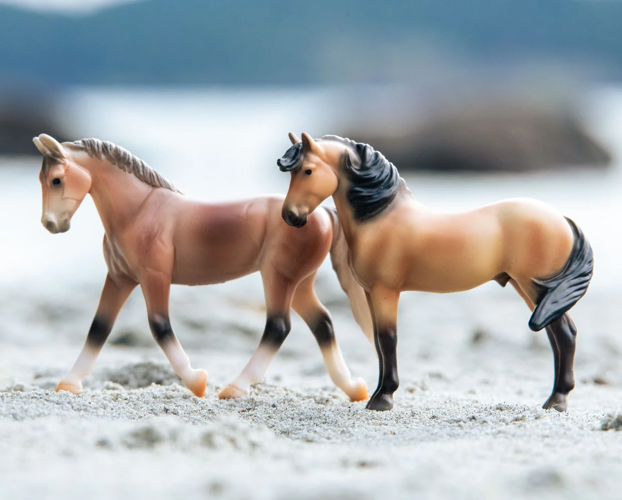 Horse Foal Surprise | Shimmering Sands - Image 3