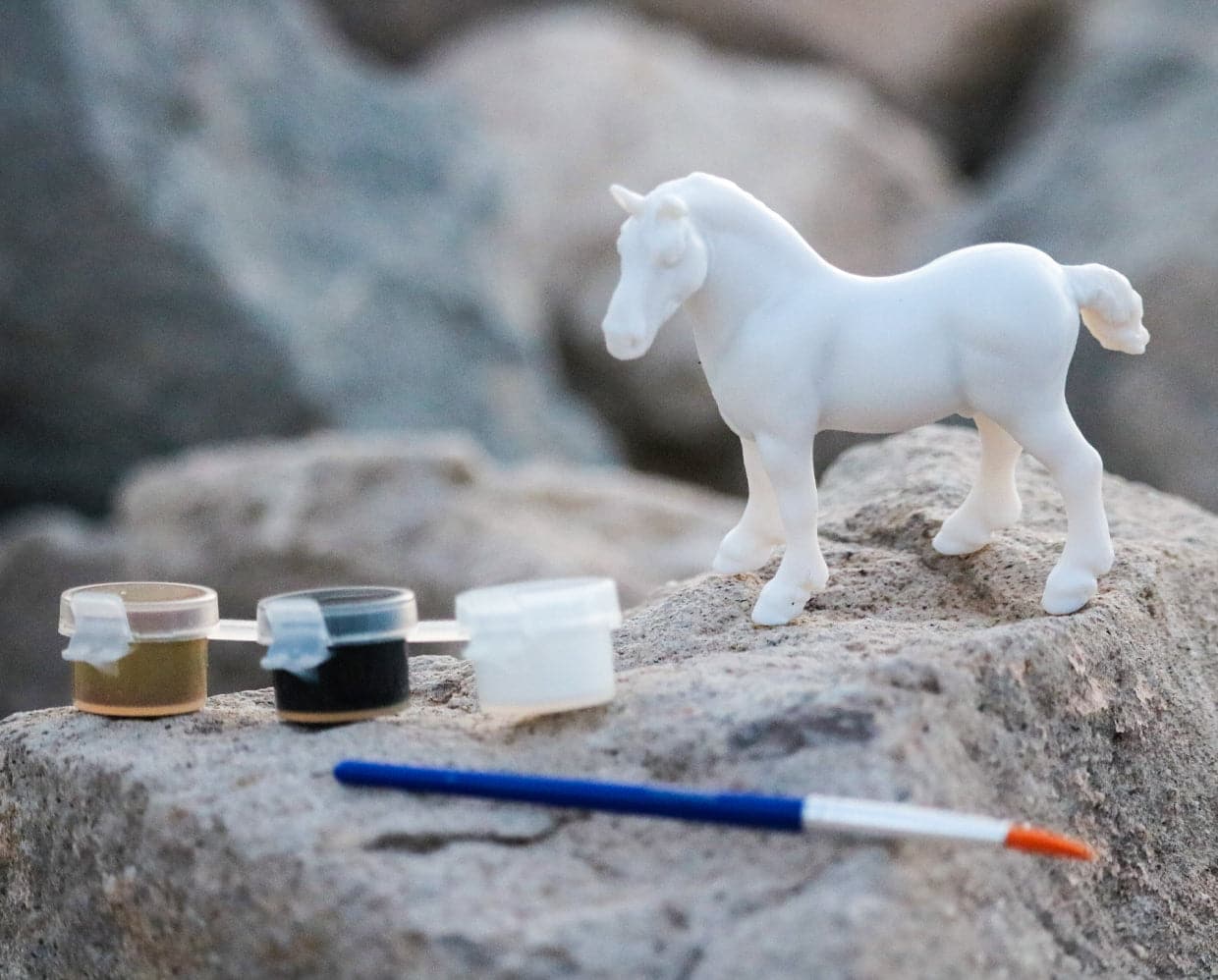 Horse Paint & Play Style C