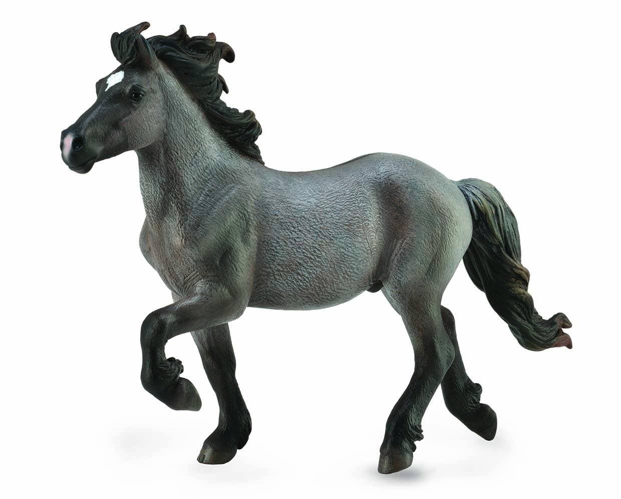 Icelandic Stallion | Blue Dun