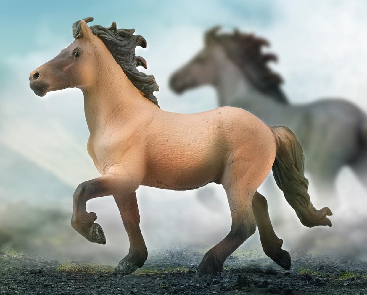 Icelandic Stallion | Dun