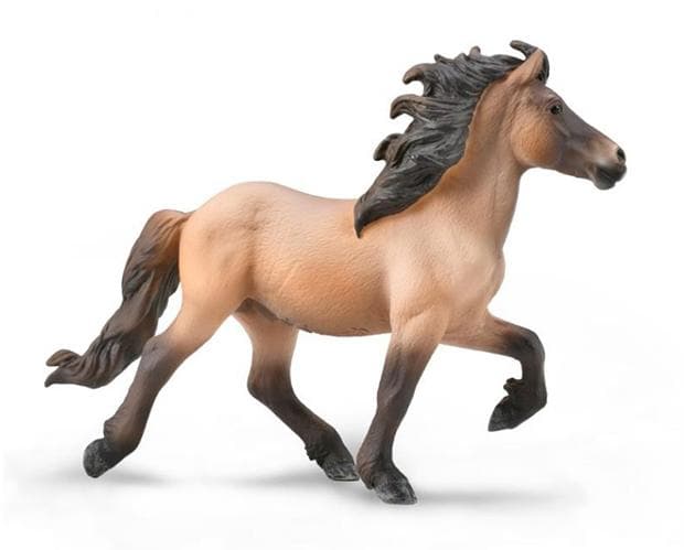 Icelandic Stallion | Dun - Image 2