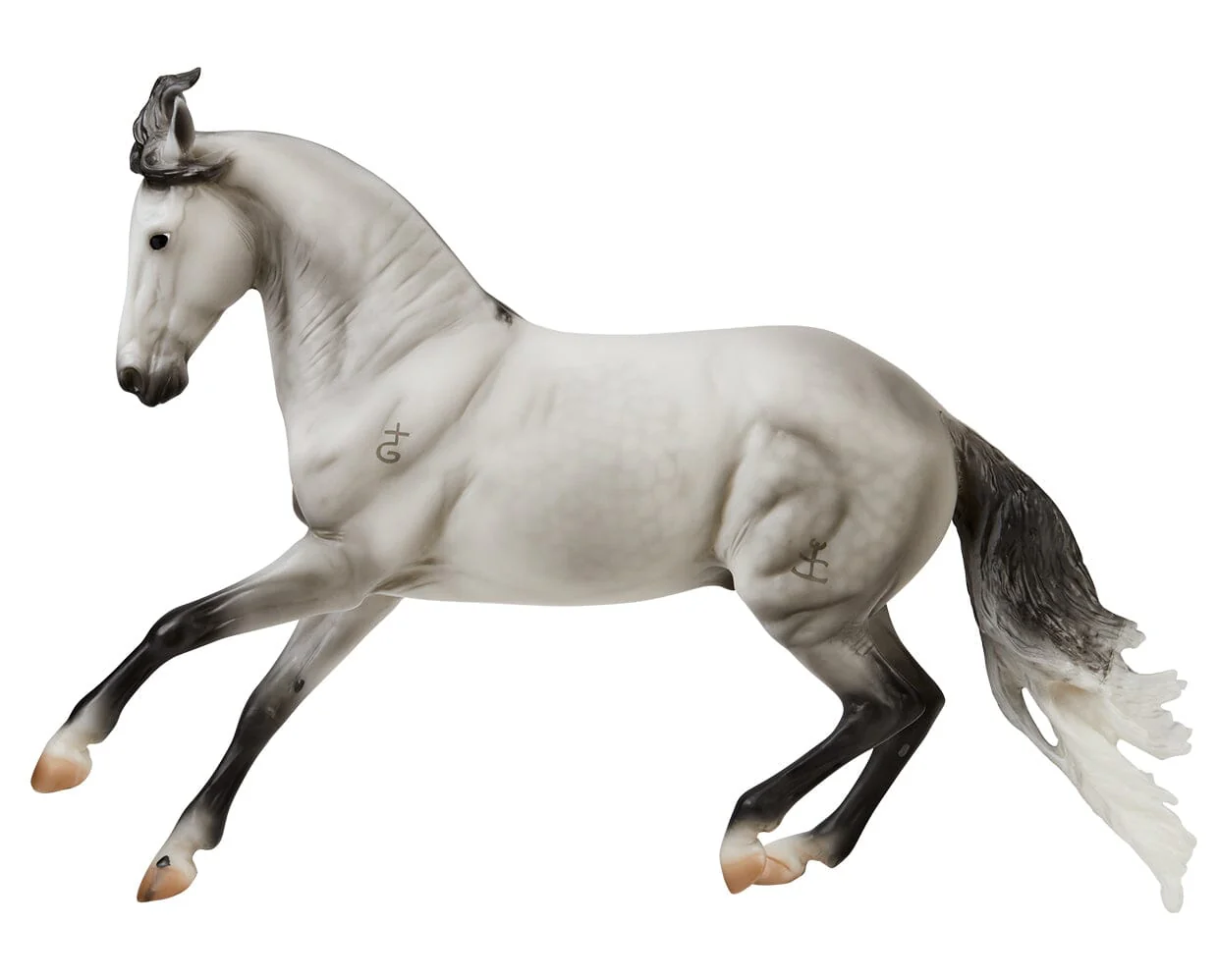 Jaguel Hilton | Criollo Stallion