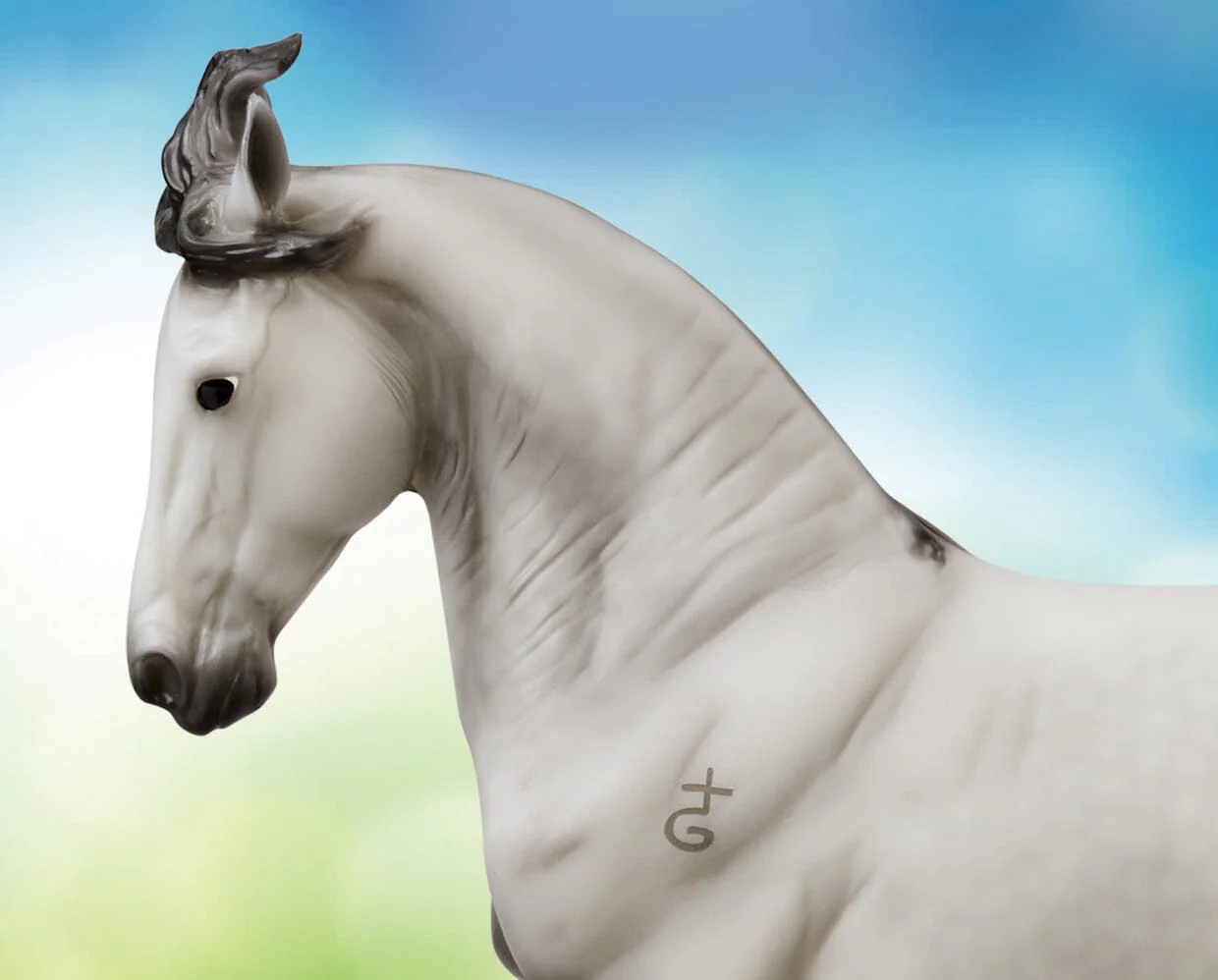 Jaguel Hilton | Criollo Stallion - Image 4