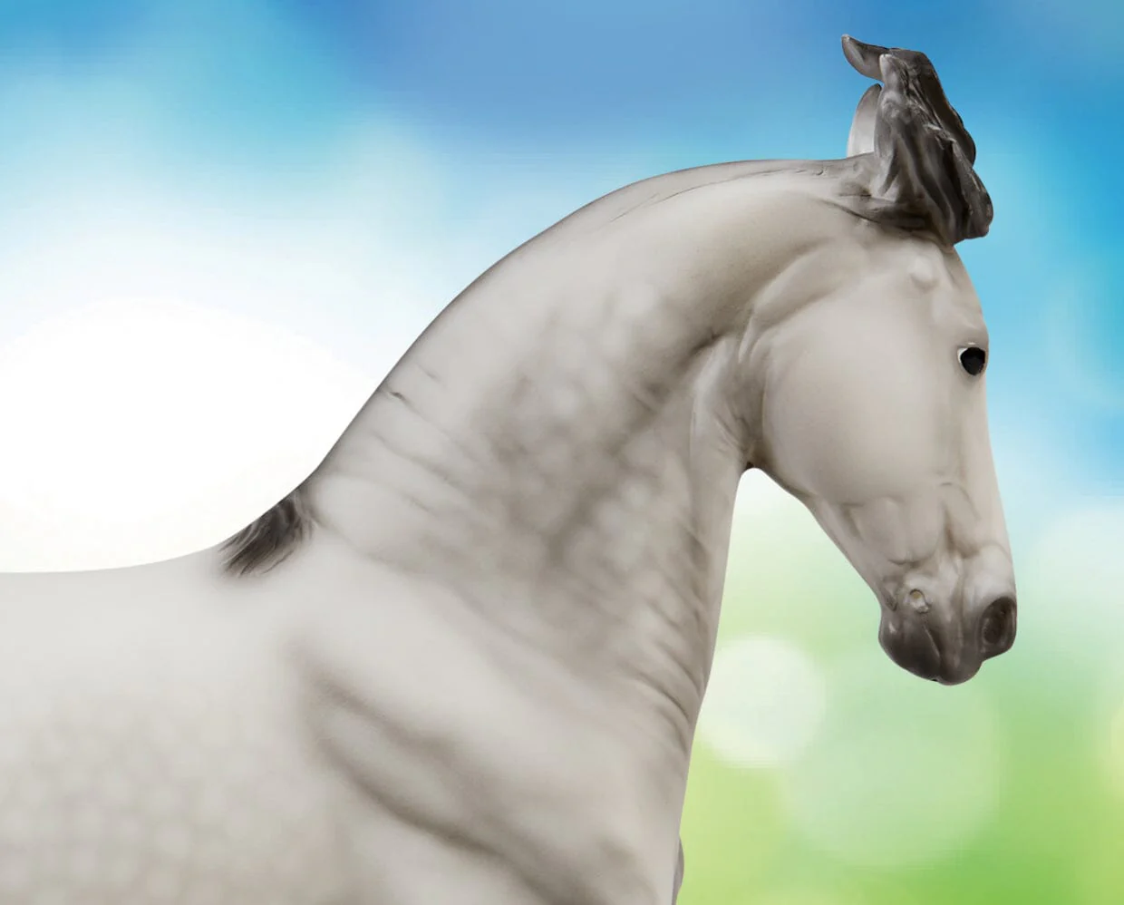 Jaguel Hilton | Criollo Stallion - Image 5