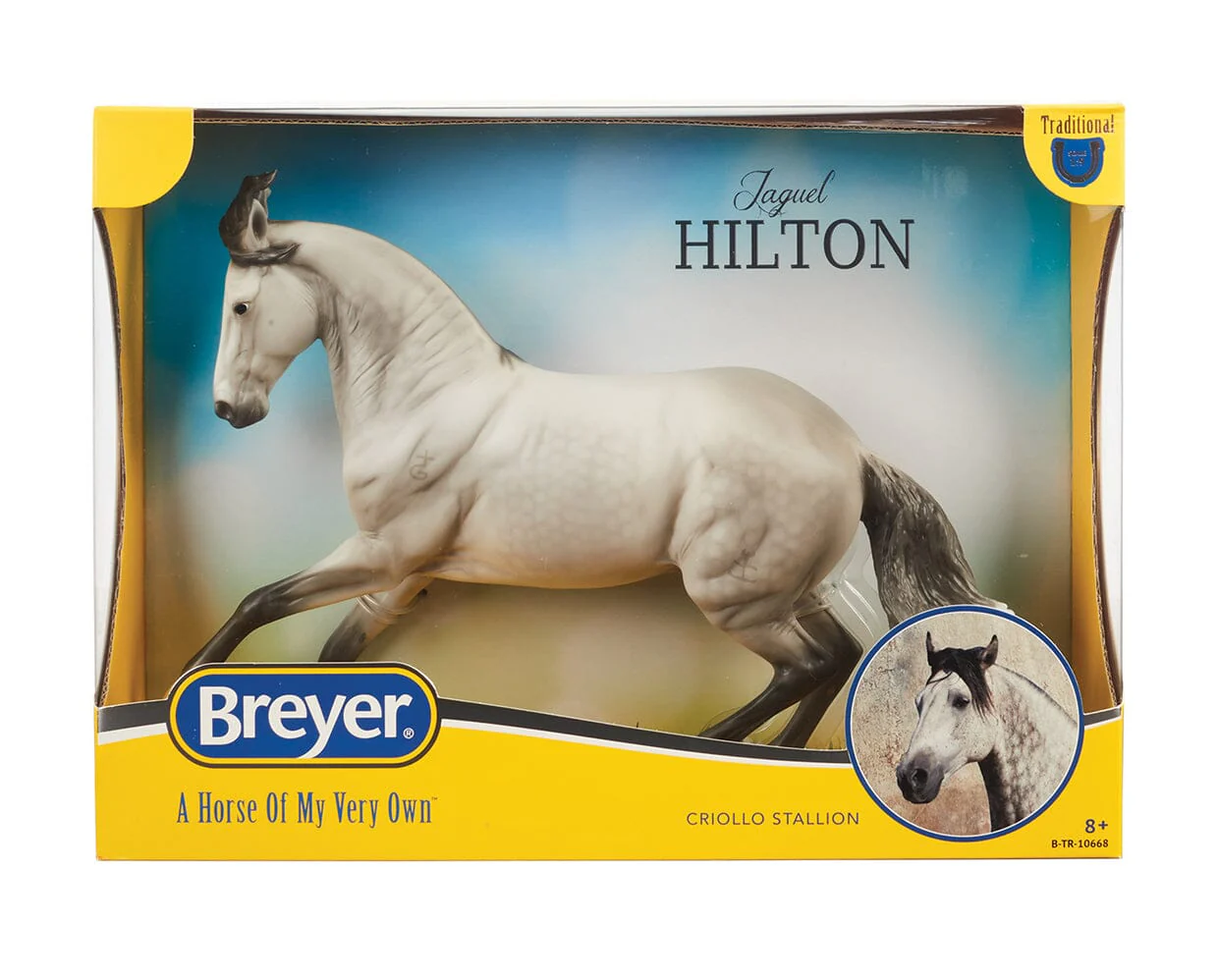 Jaguel Hilton | Criollo Stallion - Image 6
