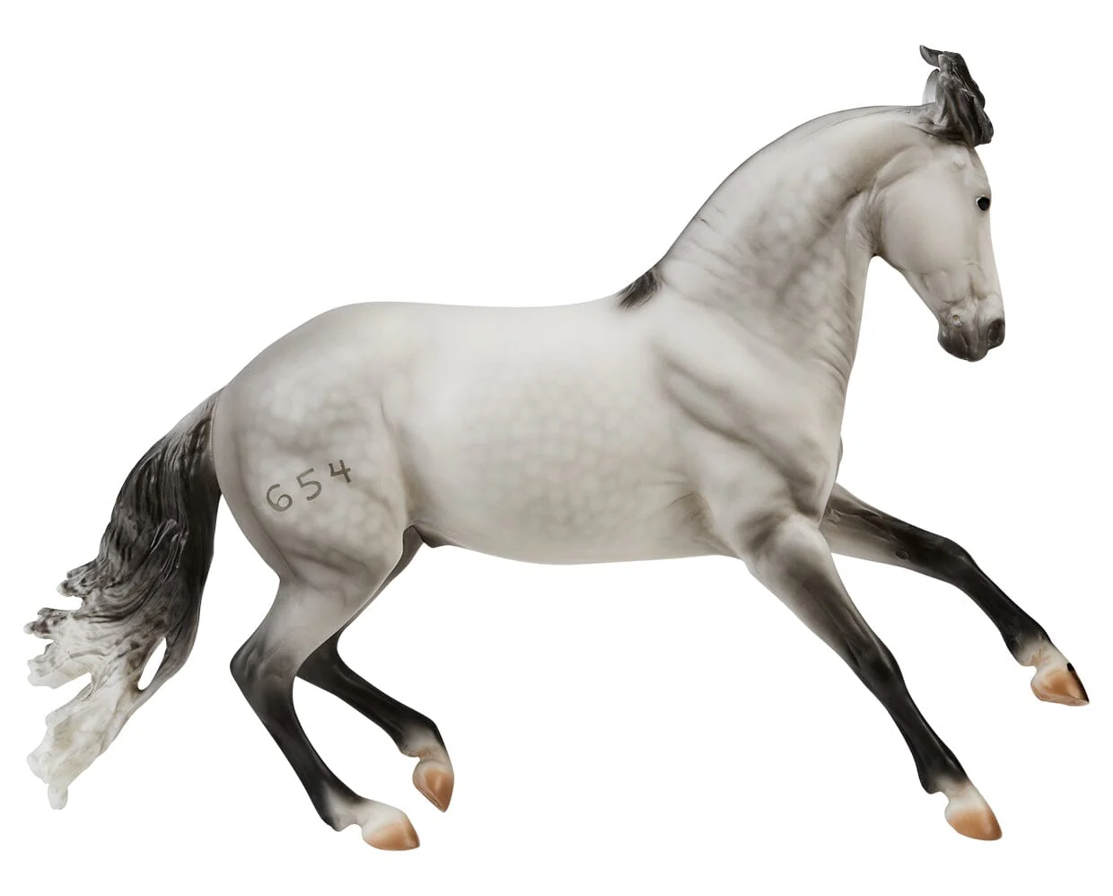 Jaguel Hilton | Criollo Stallion - Image 7
