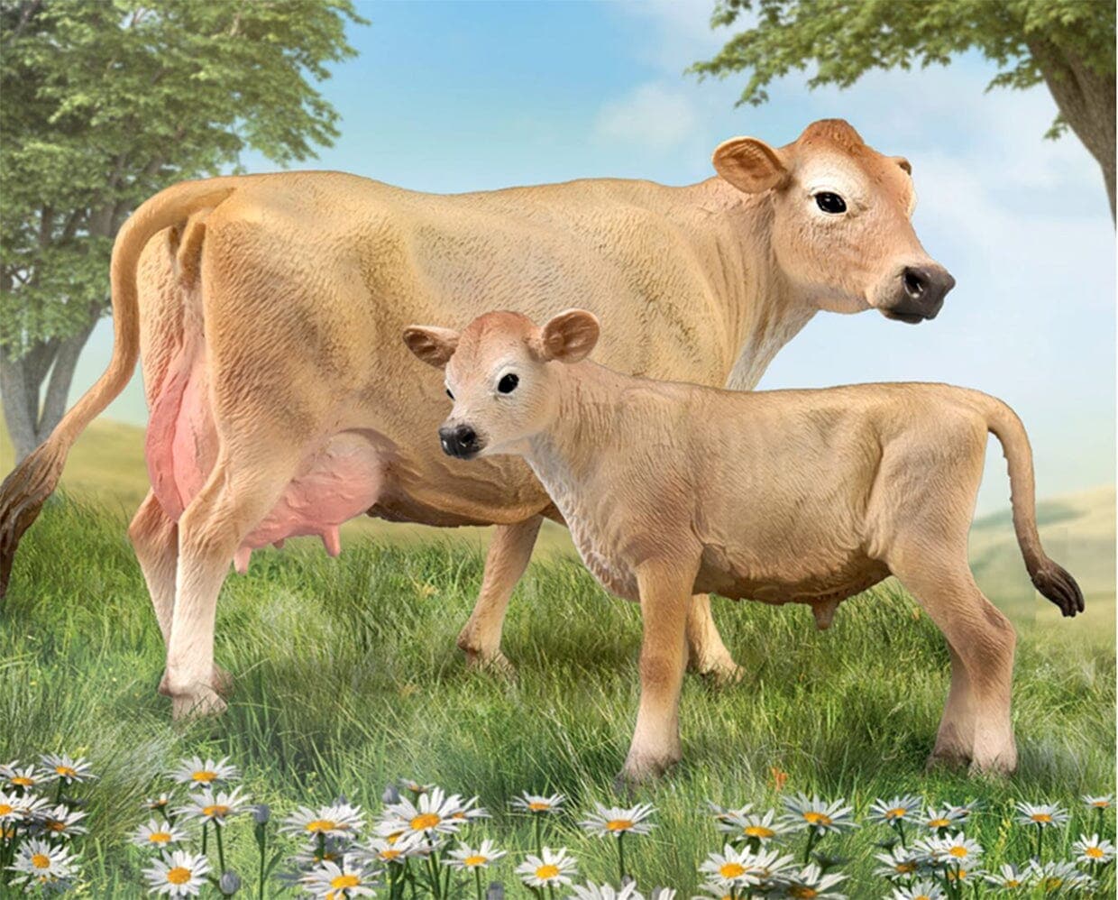 Jersey Calf