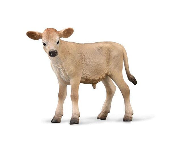 Jersey Calf - Image 2