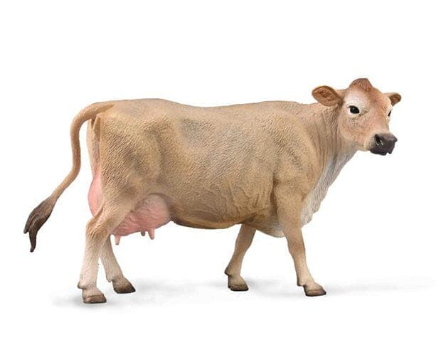 Jersey Cow - Image 2