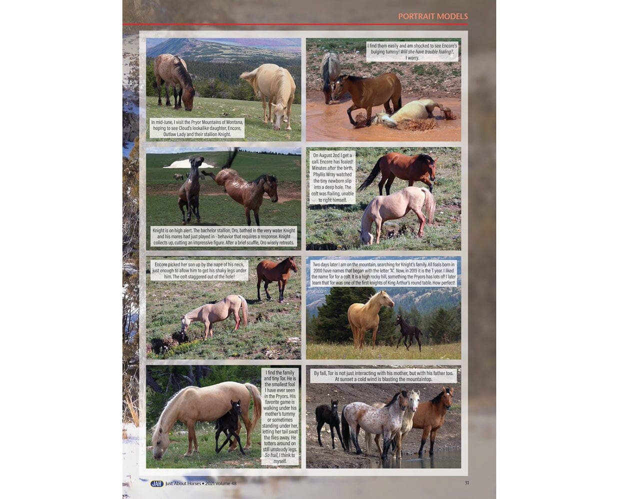 Just About Horses 2021 - Image 5