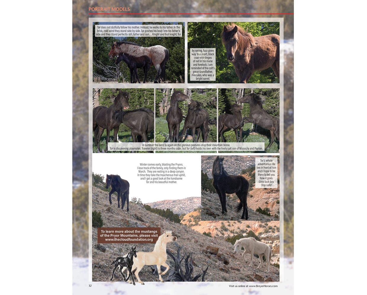 Just About Horses 2021 - Image 6