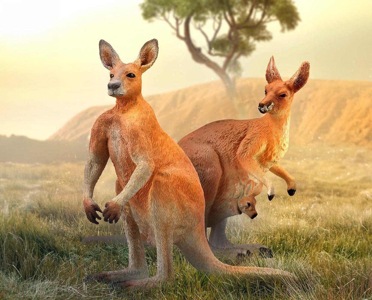 Kangaroo with Joey - Image 2
