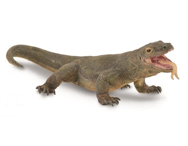 Komodo Dragon - Image 2