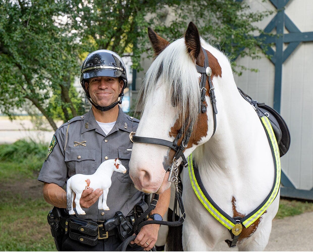 Hytyme Legend | KHP Mounted Police Horse - Image 5