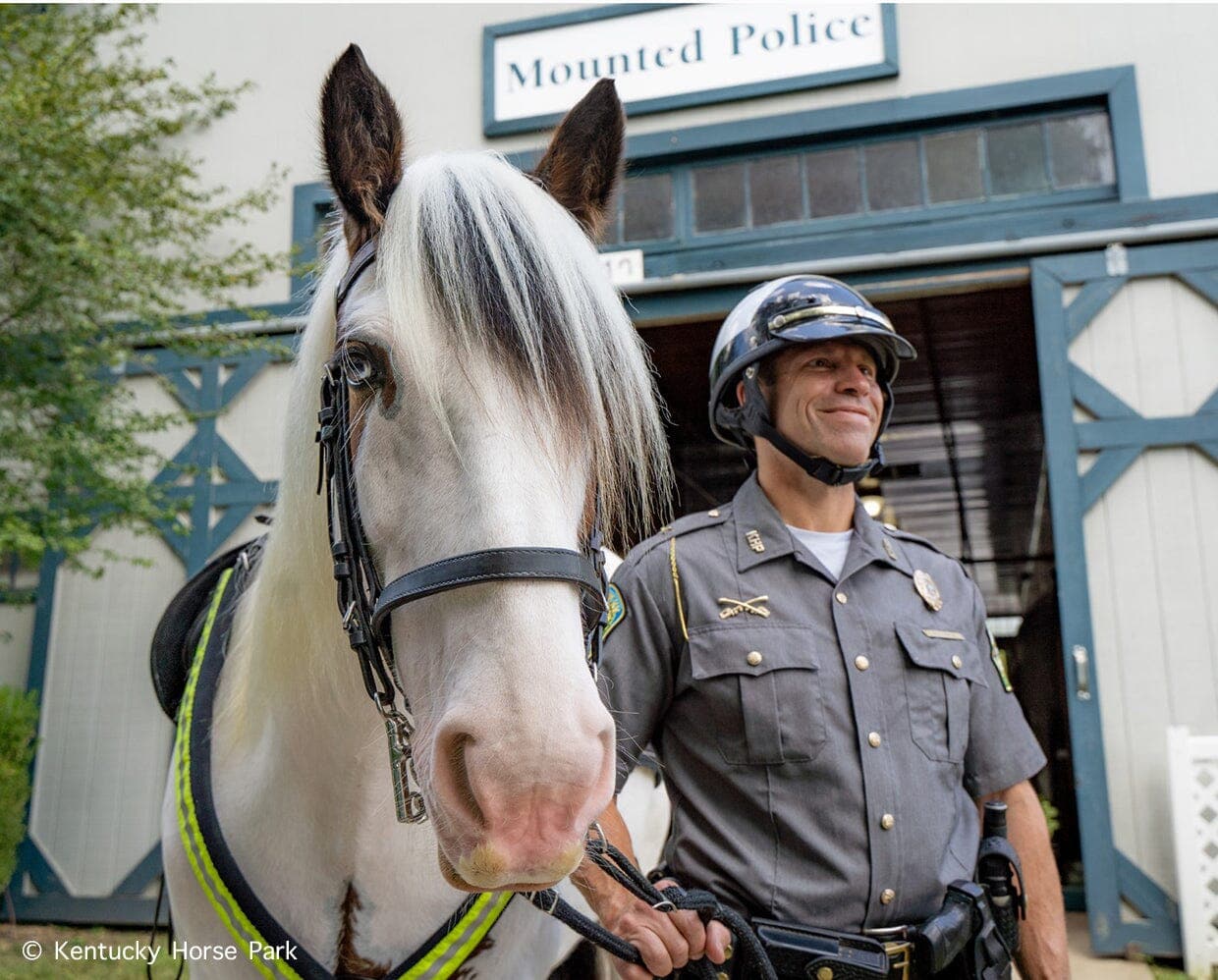Hytyme Legend | KHP Mounted Police Horse - Image 7