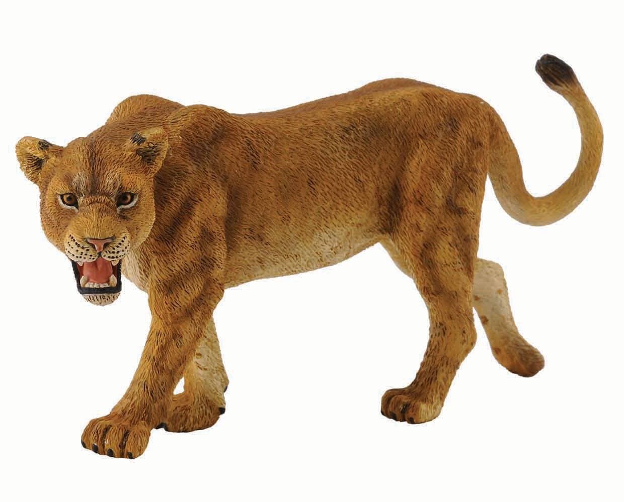 Lioness