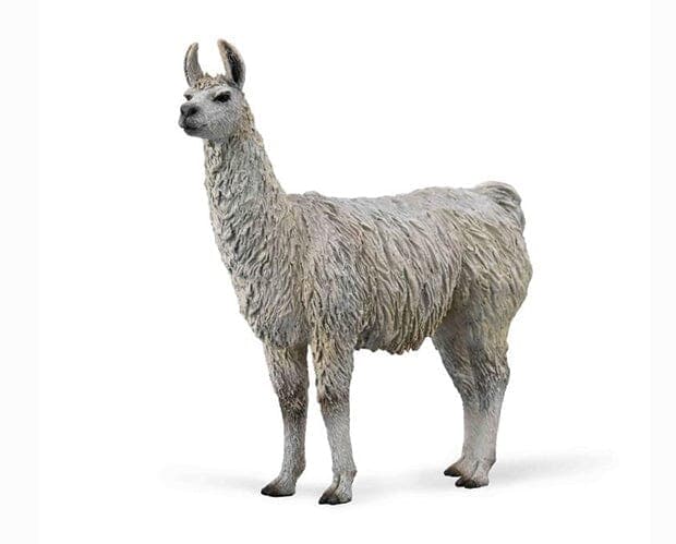 Llama - Image 2
