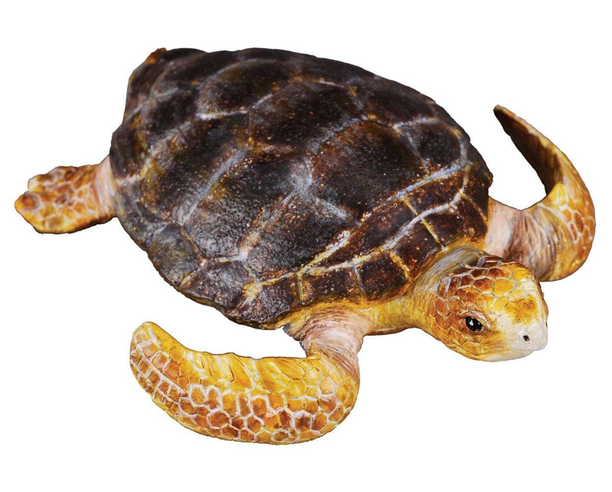 Loggerhead Turtle - Image 2
