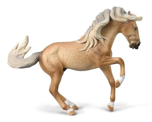 Lusitano Stallion | Sooty Palomino