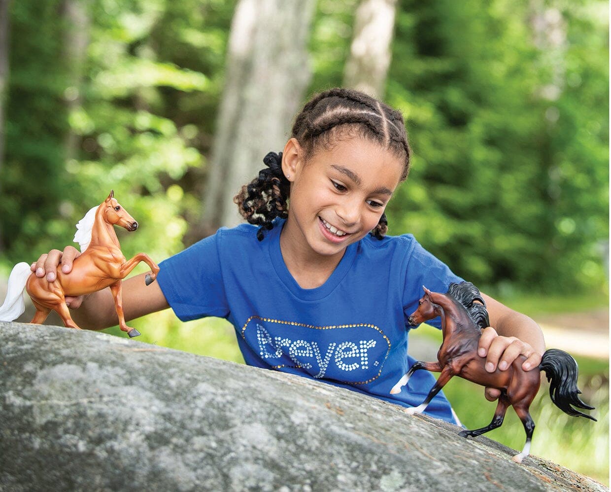 Mahogany Bay Arabian - Image 3