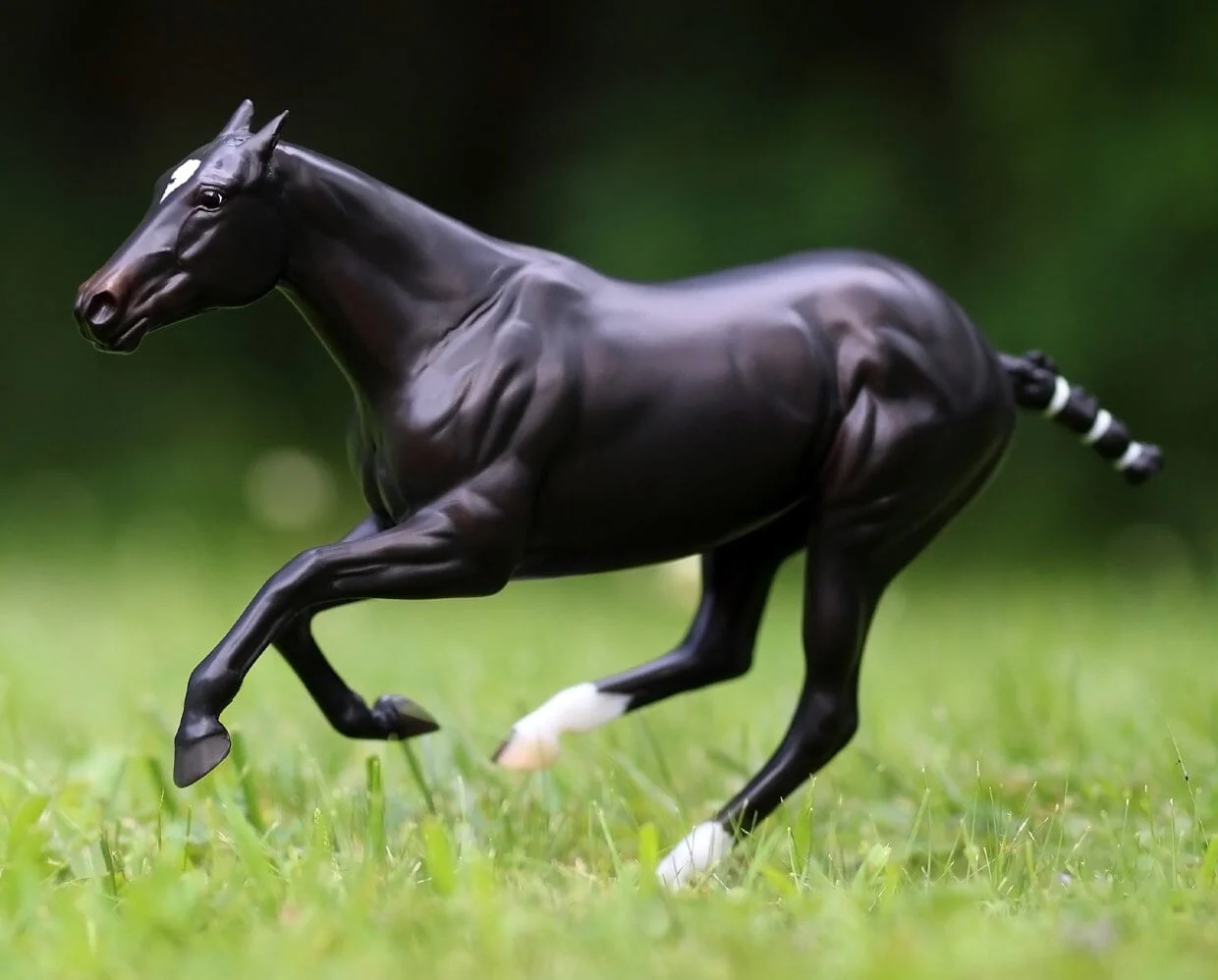 Manaos | Polo Pony - Image 2