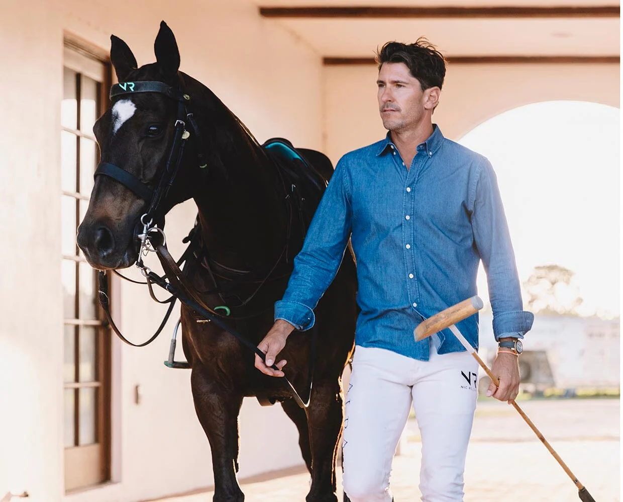 Manaos | Polo Pony - Image 4
