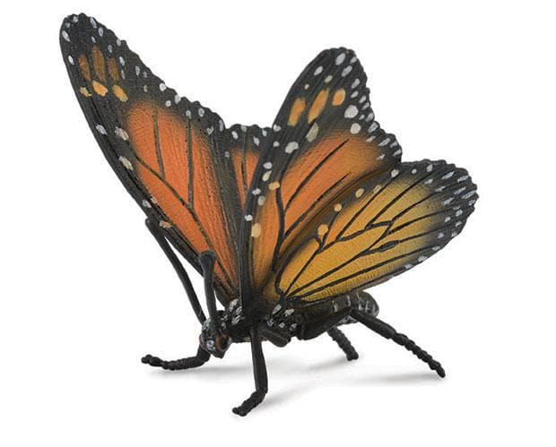 Monarch Butterfly - Image 2