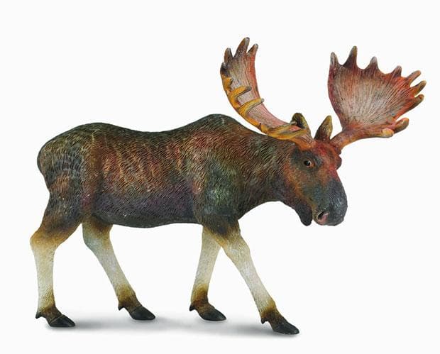 Moose - Image 2
