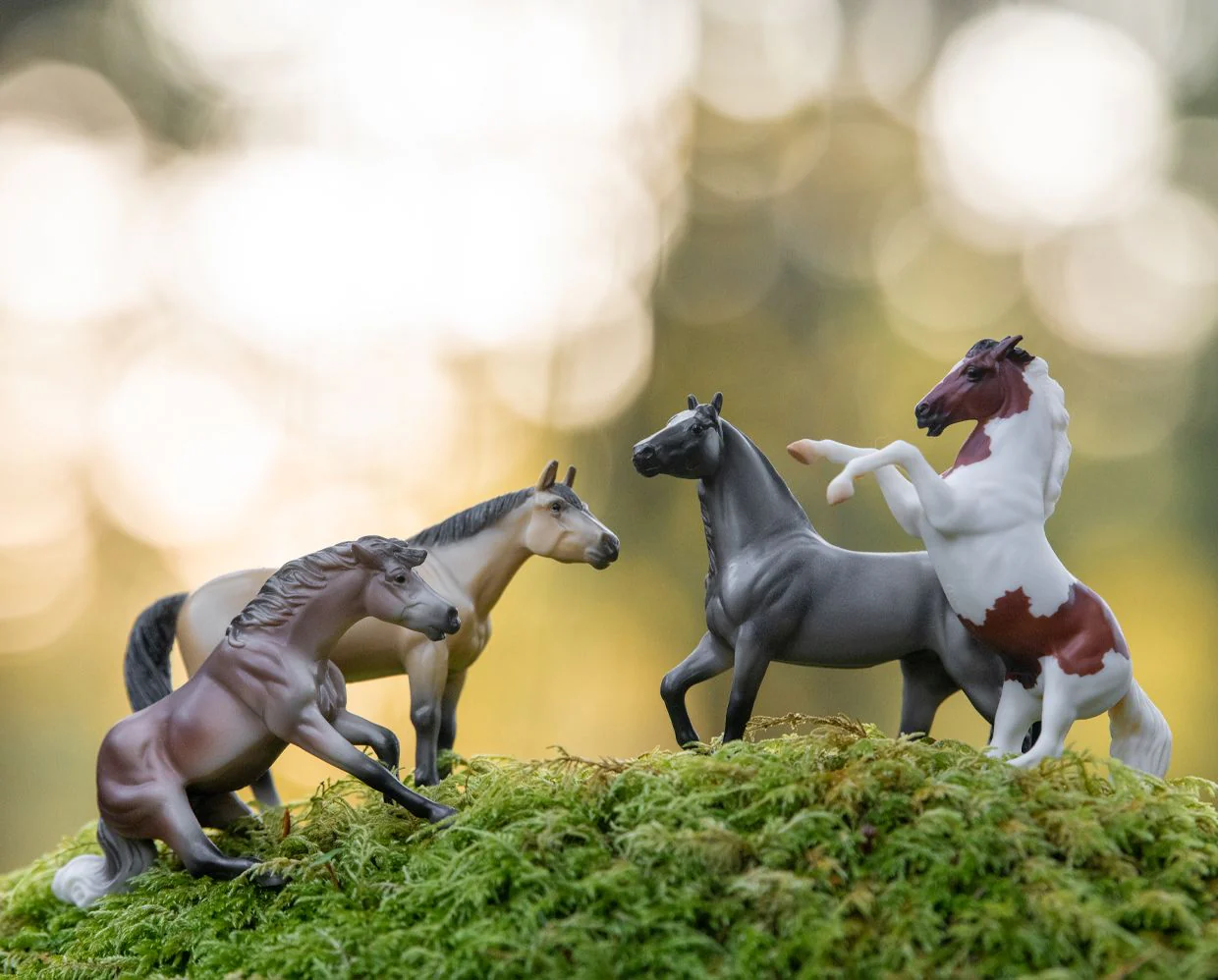 Mountain Ranch Gift Set - Image 2