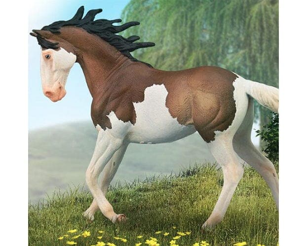 Mustang Mare | Bay Splash Overo
