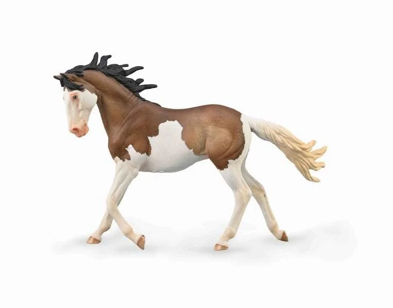Mustang Mare | Bay Splash Overo - Image 2