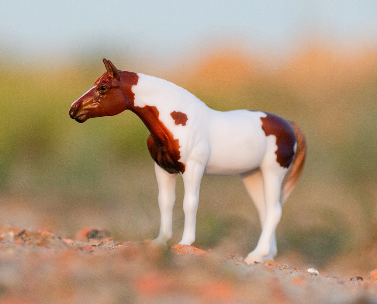 Mystery Horse Surprise: Exquisite Equines | Individual Blind Bag - Image 9