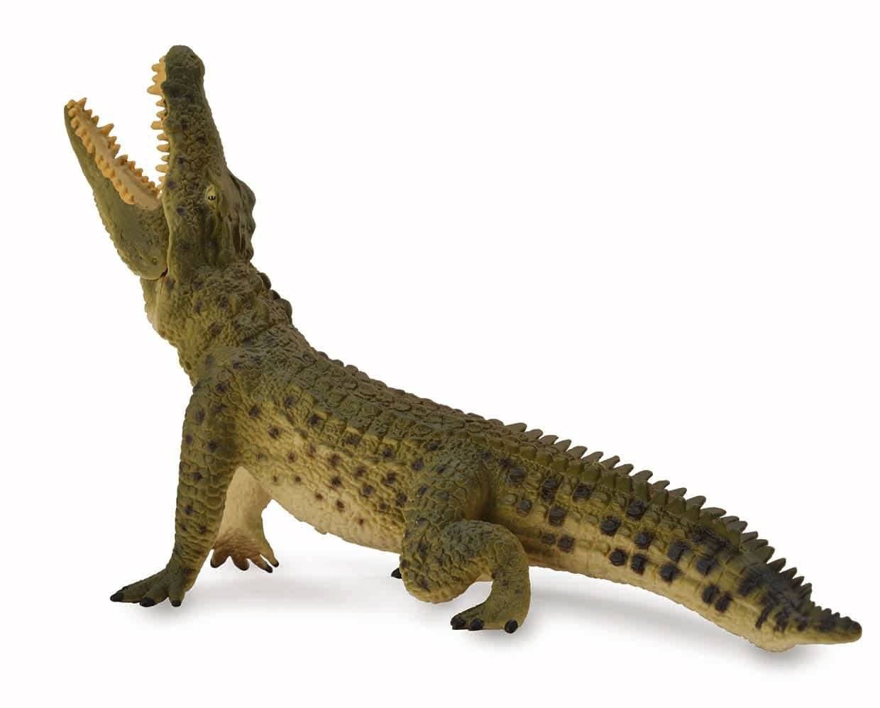 Nile Crocodile - Leaping - Image 2