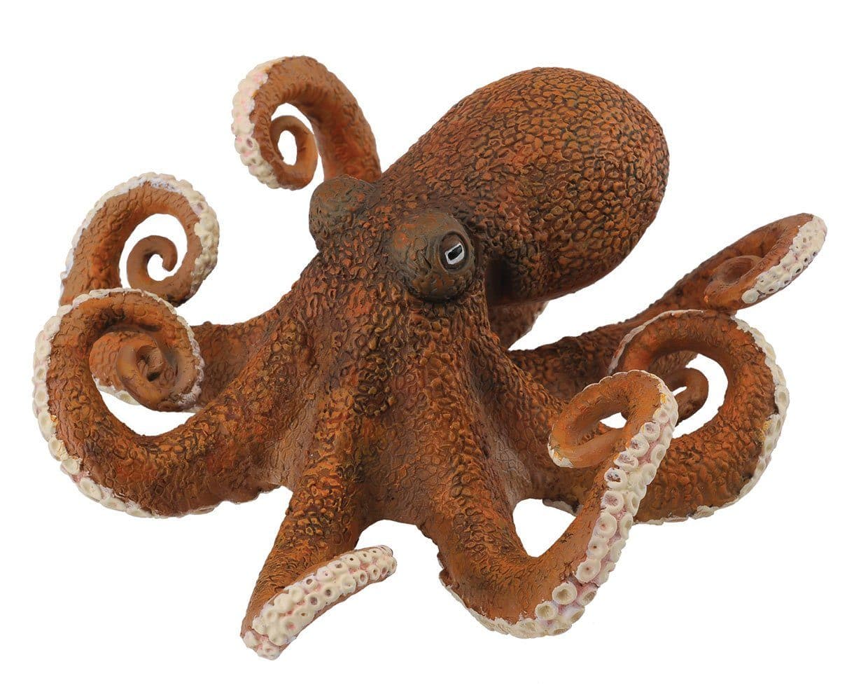 Octopus - Image 2