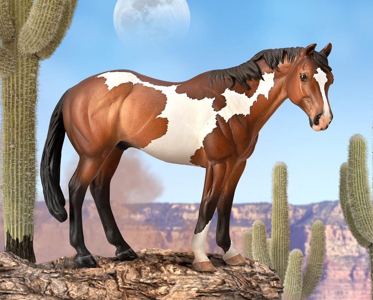Paint Horse | Bay Overo