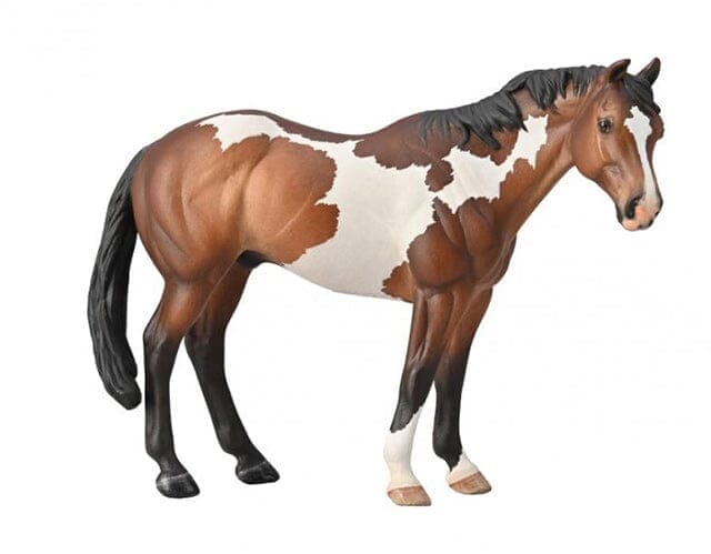 Paint Horse | Bay Overo - Image 2