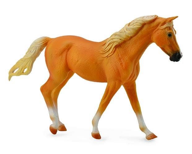 Missouri Fox Trotter Mare | Palomino