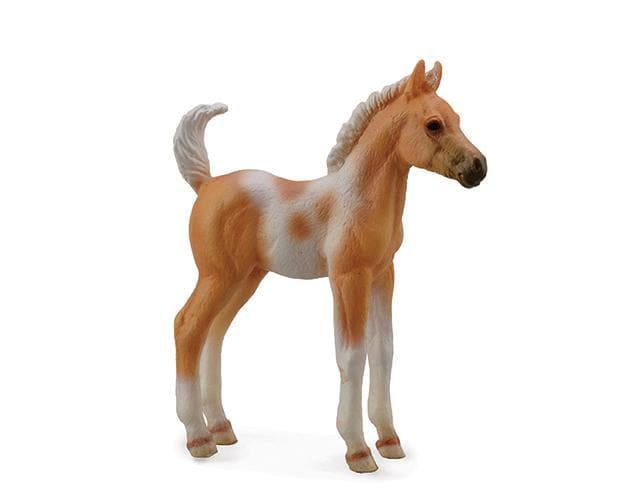 Foal | Palomino Pinto