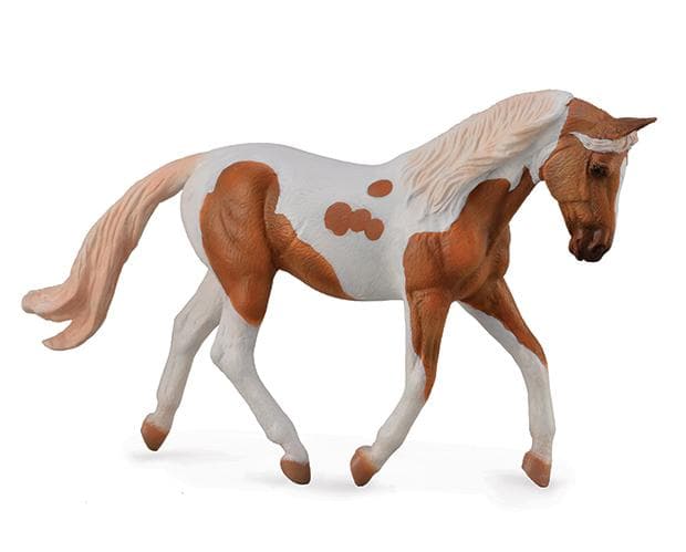 Mare | Palomino Pinto