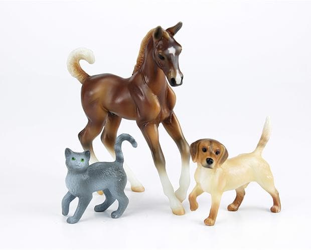 Pet Groomer - Image 4