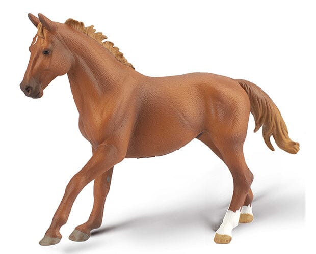 Phar Lap, Thoroughbred Racehorse | Chestnut